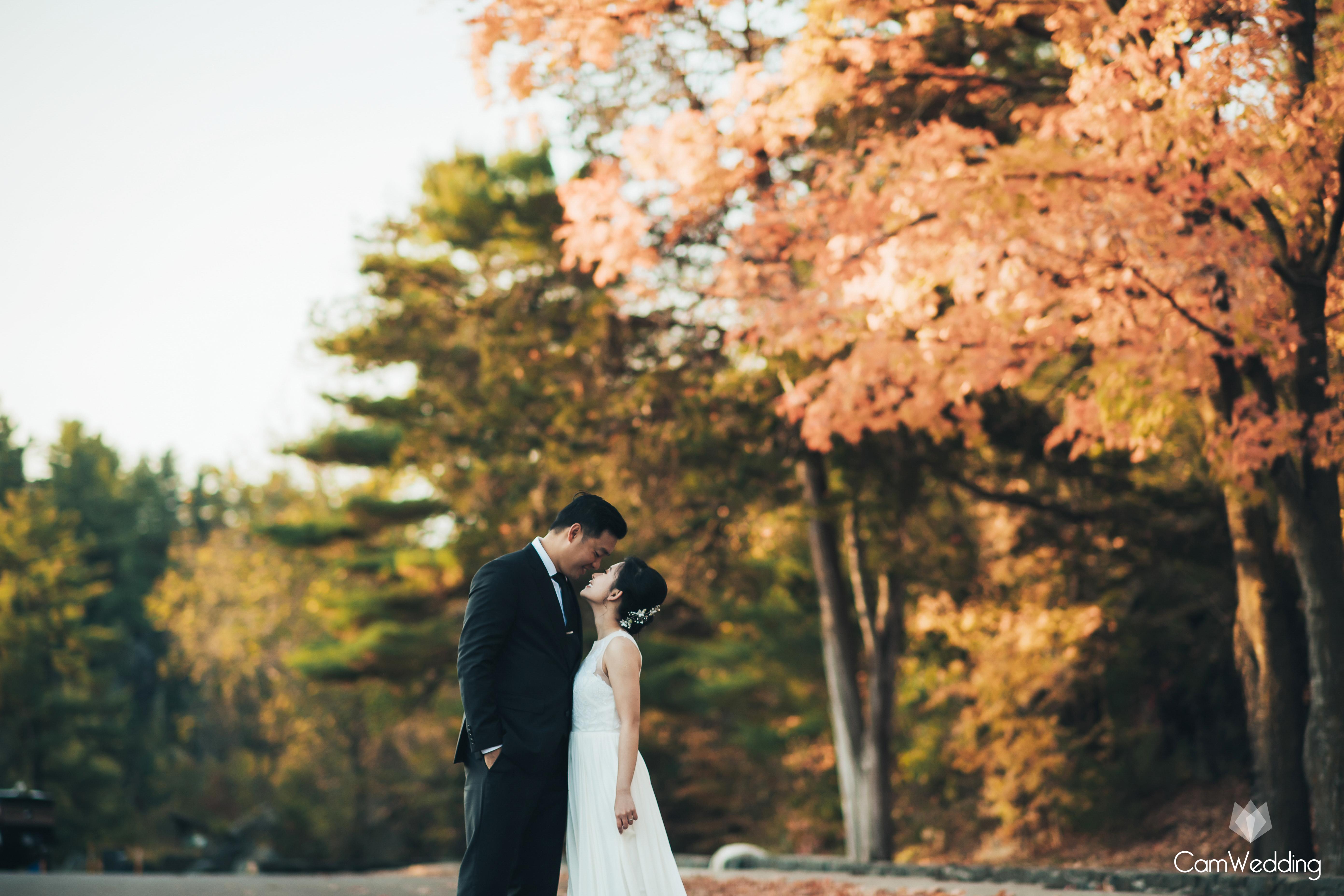 The Wedding Website of Tien Nguyen and Hoang Ngo