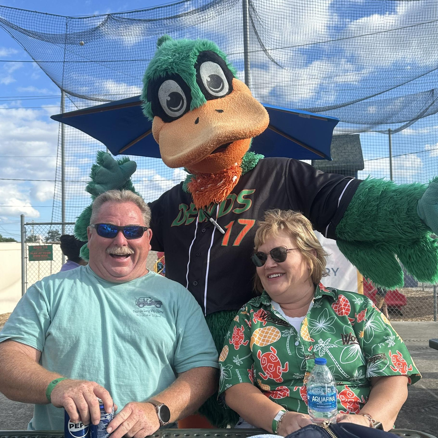 Wood Ducks game. 2024