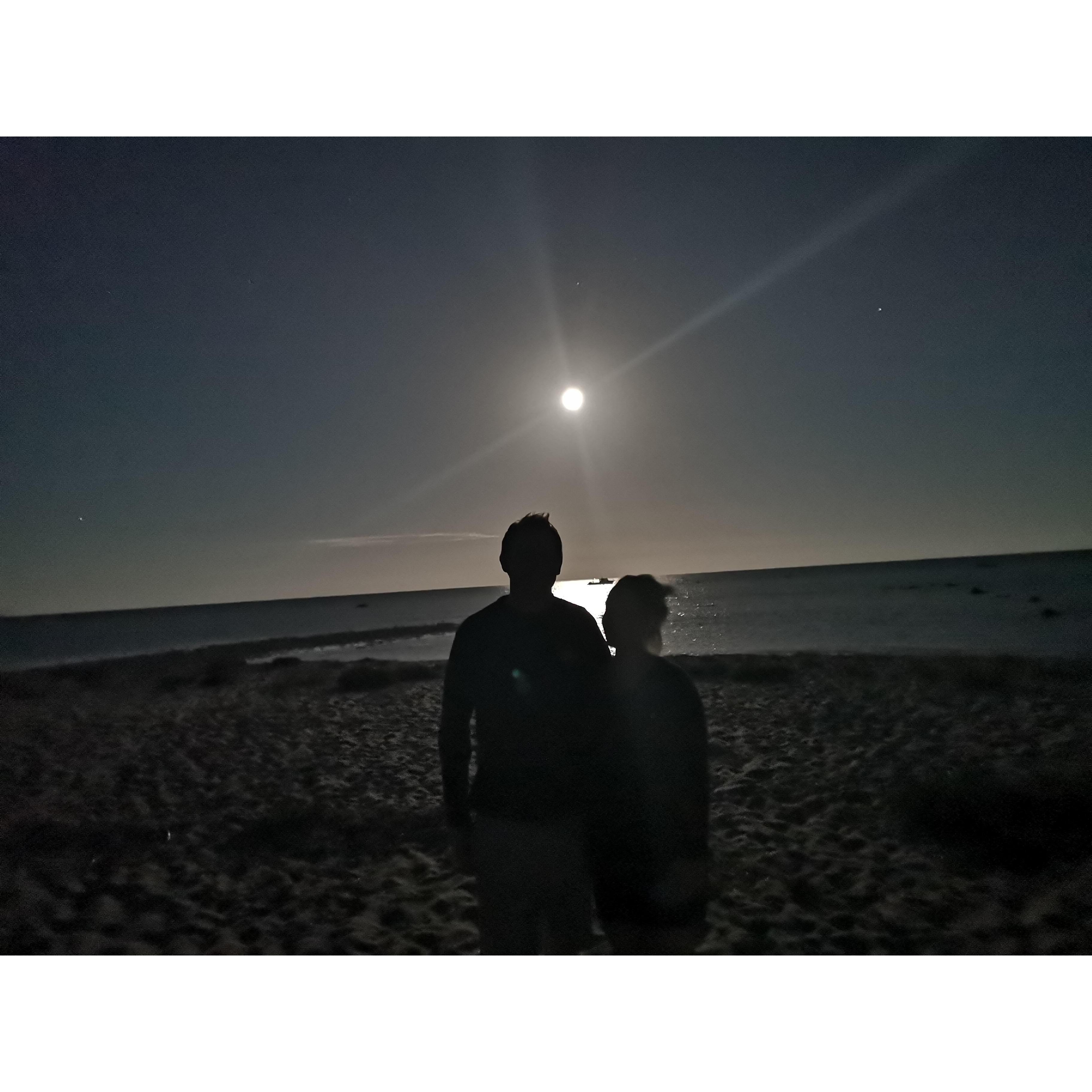 Moonlight in Dunsborough, Western Australia