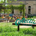 Colectivo Coffee Lakefront