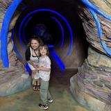 The Rabbit hOle