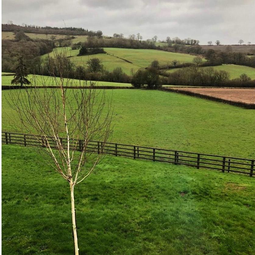 The calm after the storm that was Dennis. All looking surprisingly green. 
*and that first picture, although taken in Monmouth, wasn't actually this field.