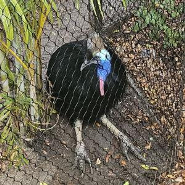 San Diego Zoo Memberships