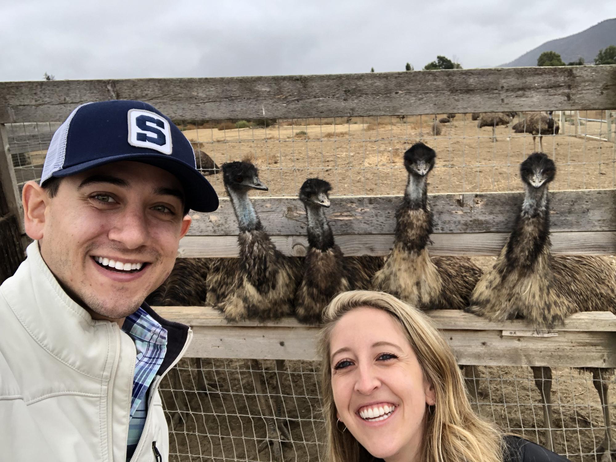 Stopping to see the Emus on our drive back from SB