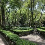 Parque México