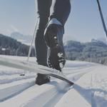 Cross-Country Skiing