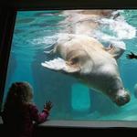 Point Defiance Zoo & Aquarium