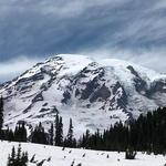 Mount Rainier National Park
