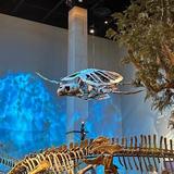 Perot Museum of Nature and Science