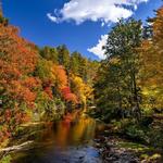 West Fork Anglers -Fly Fishing Guide Service