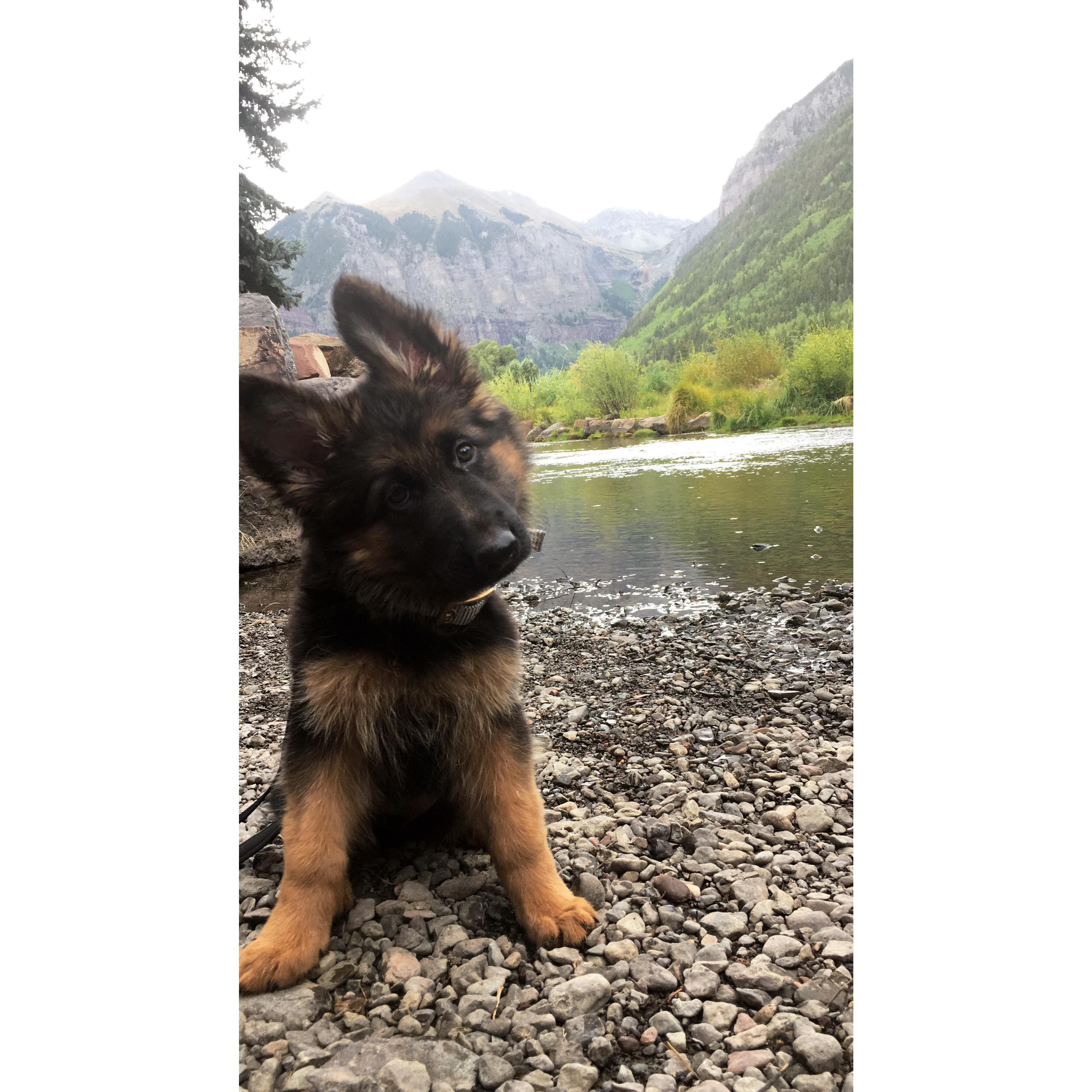 Telluride- 2018