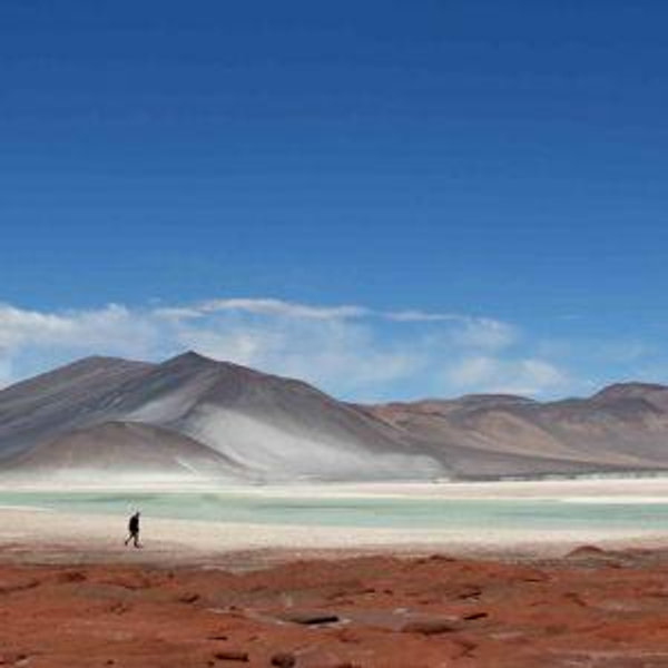 Chilean Honeymoon Fund (Pay by Venmo)