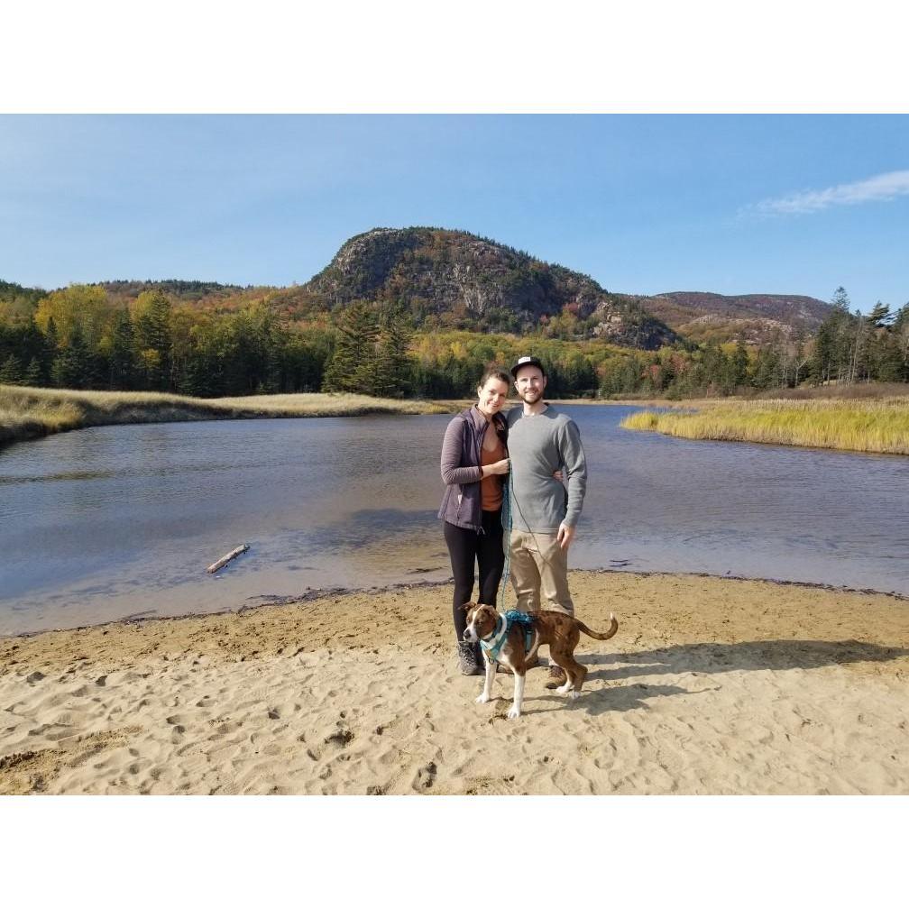 We made the best of postponing our wedding last year and went to Acadia with our pup Waffles. Such a wonderful trip together.