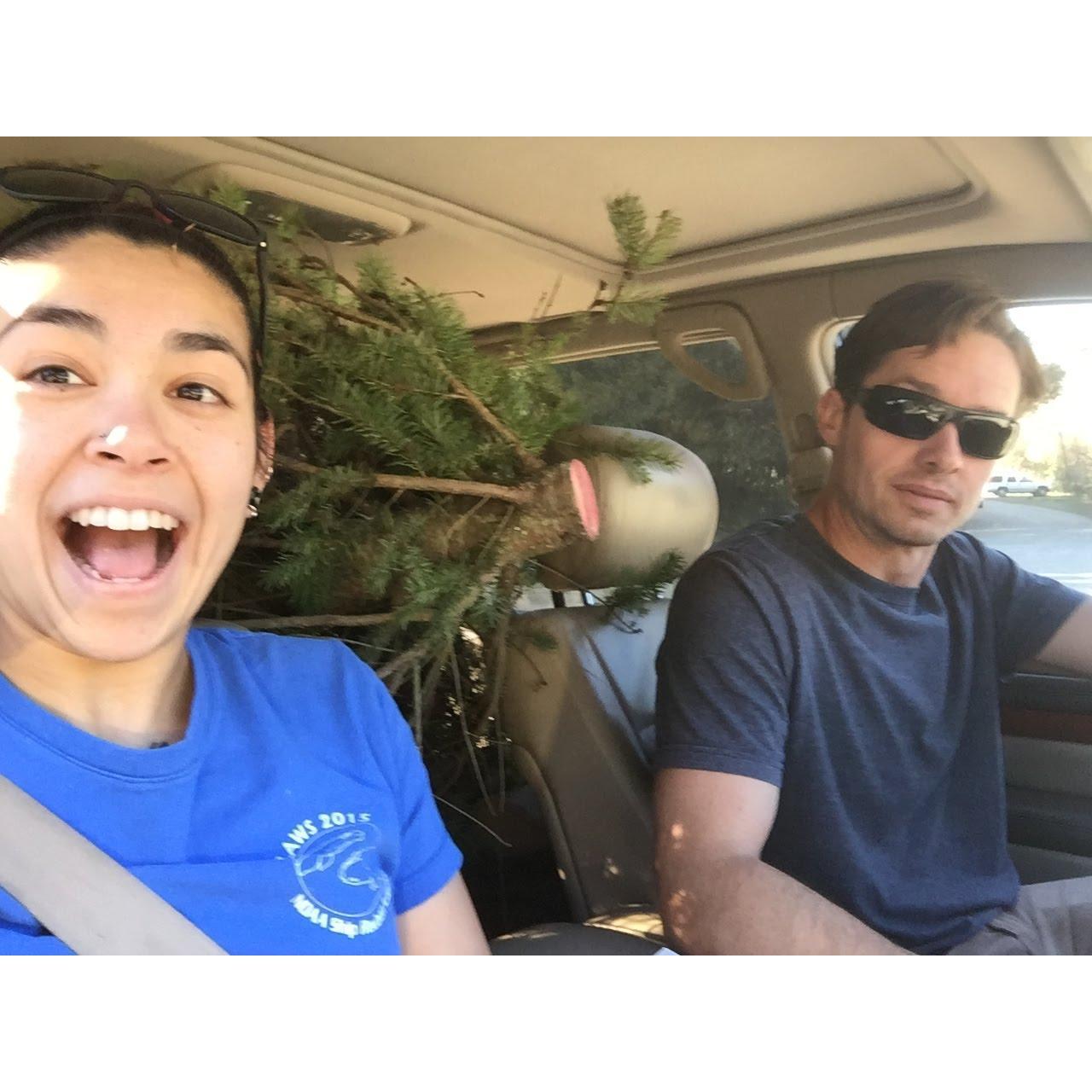 Our first Christmas tree! We chopped it down ourselves.