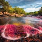 Caño Cristales River