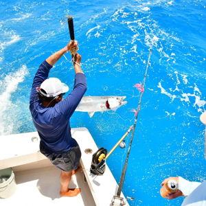 Marina Deep Sea Fishing Tour