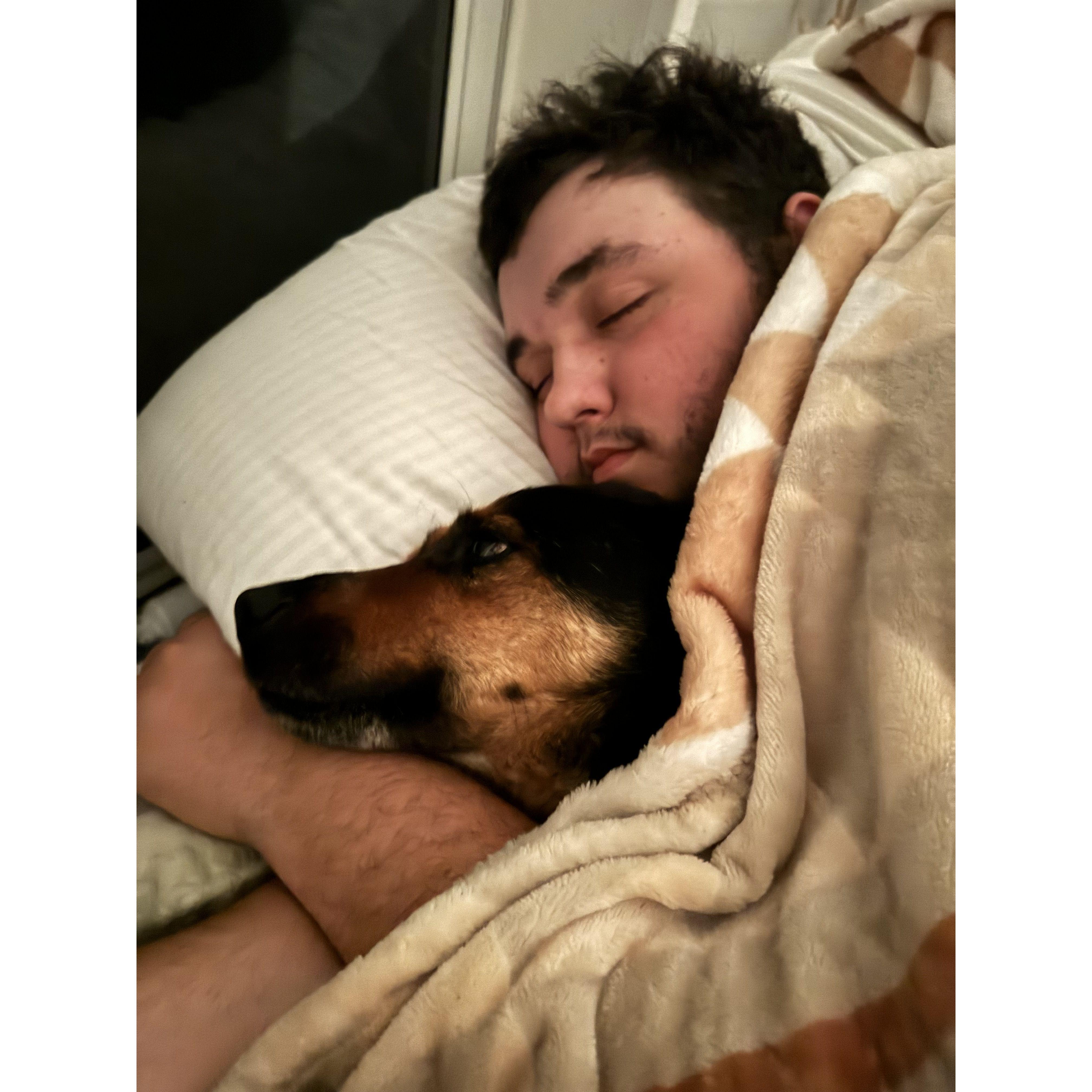 cuddling with zep