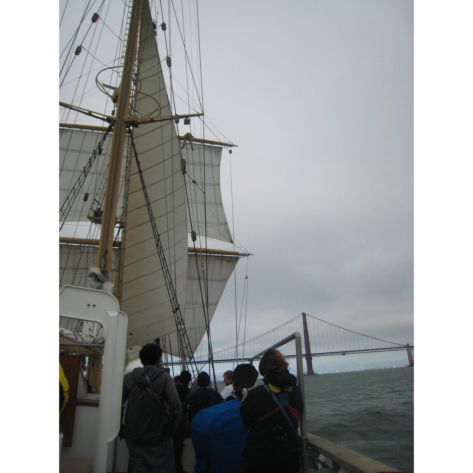 Sailing into San Francisco Bay