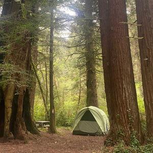 New Tent