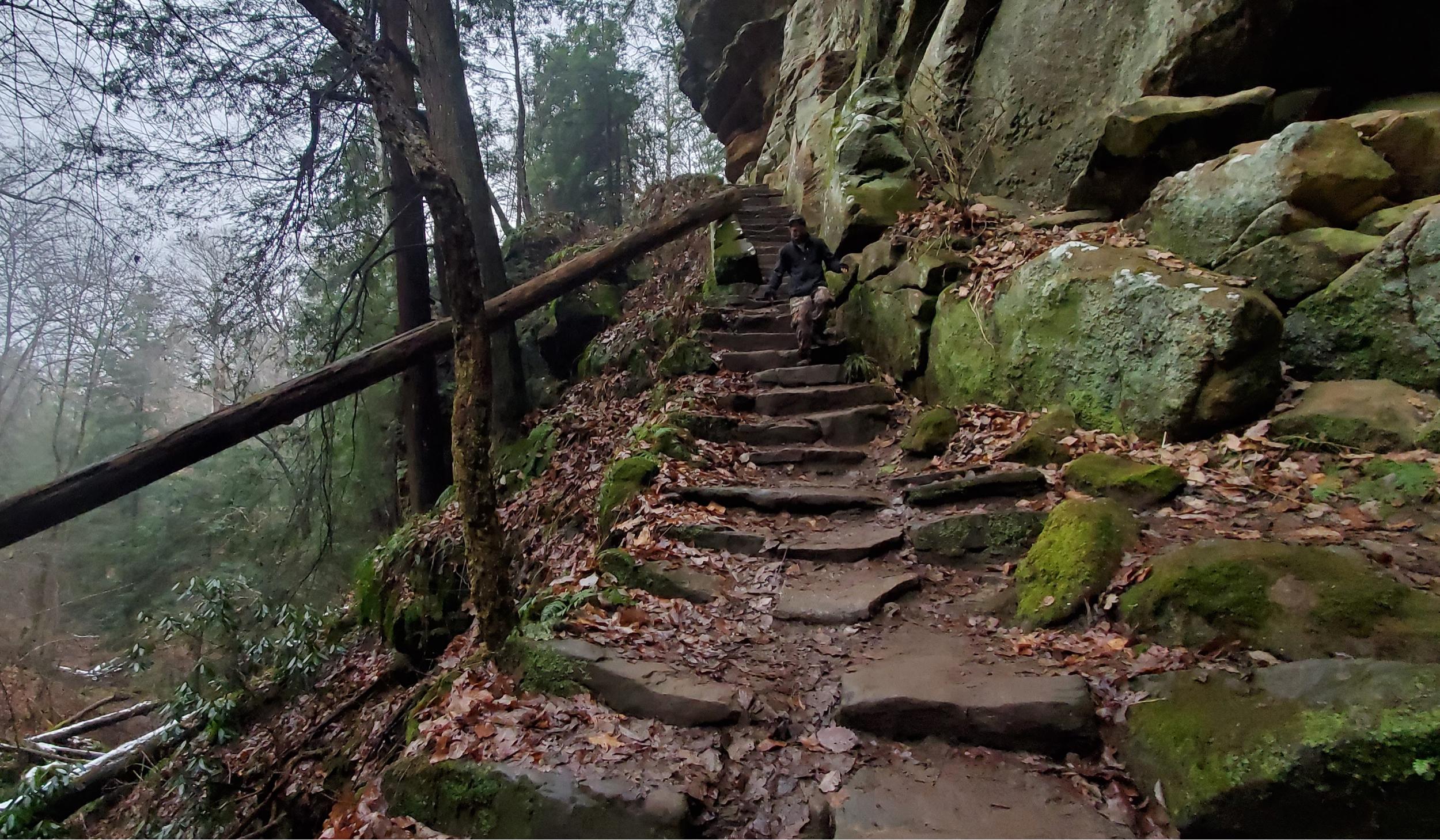 cb69455f-facd-42fa-9ab3-d3fc54f90fe3