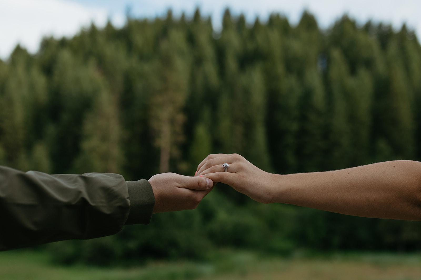 The Wedding Website of Nicole Nordahl and Carter Lewis