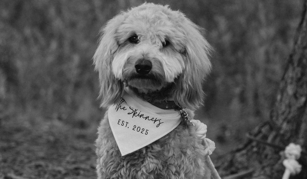 cb6b5e0a-4adb-4296-9a88-26a65f962230