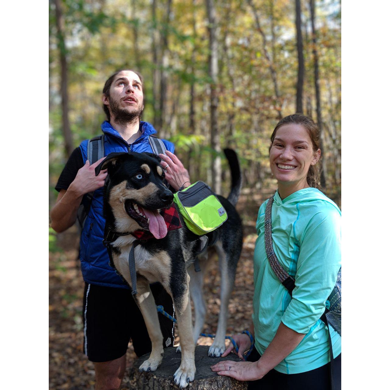 We've always loved hiking, but something about having a dog makes it so much more enjoyable.