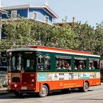 Trolley Tours