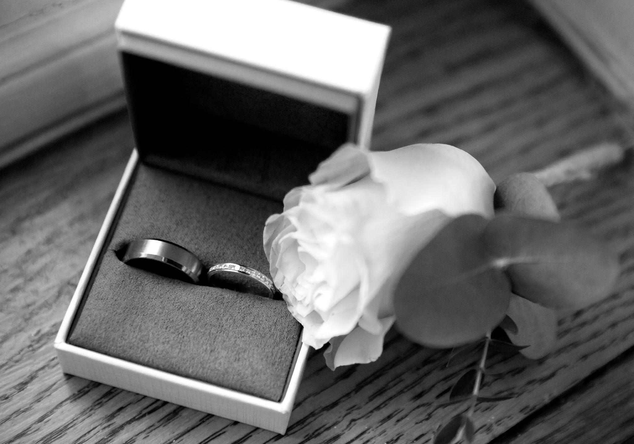 The Wedding Website of Louise Sinclair and David Sinclair