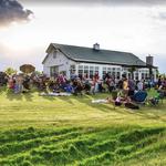 LedgeStone Vineyards