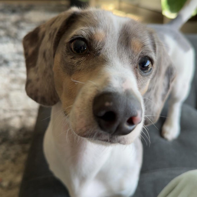 Clyde’s Toy Fund