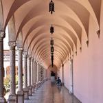 The Ringling