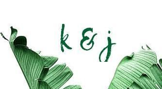 Footer image