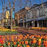 Pearl Street Mall