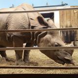 Mesker Park Zoo