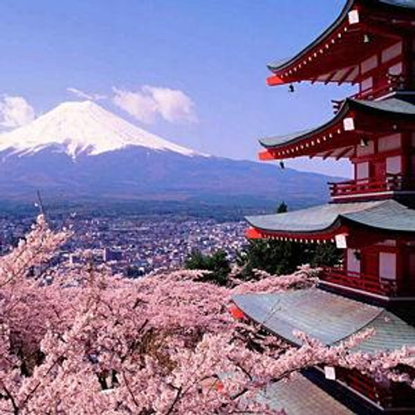Honeymoon Fund! We're off to Japan!