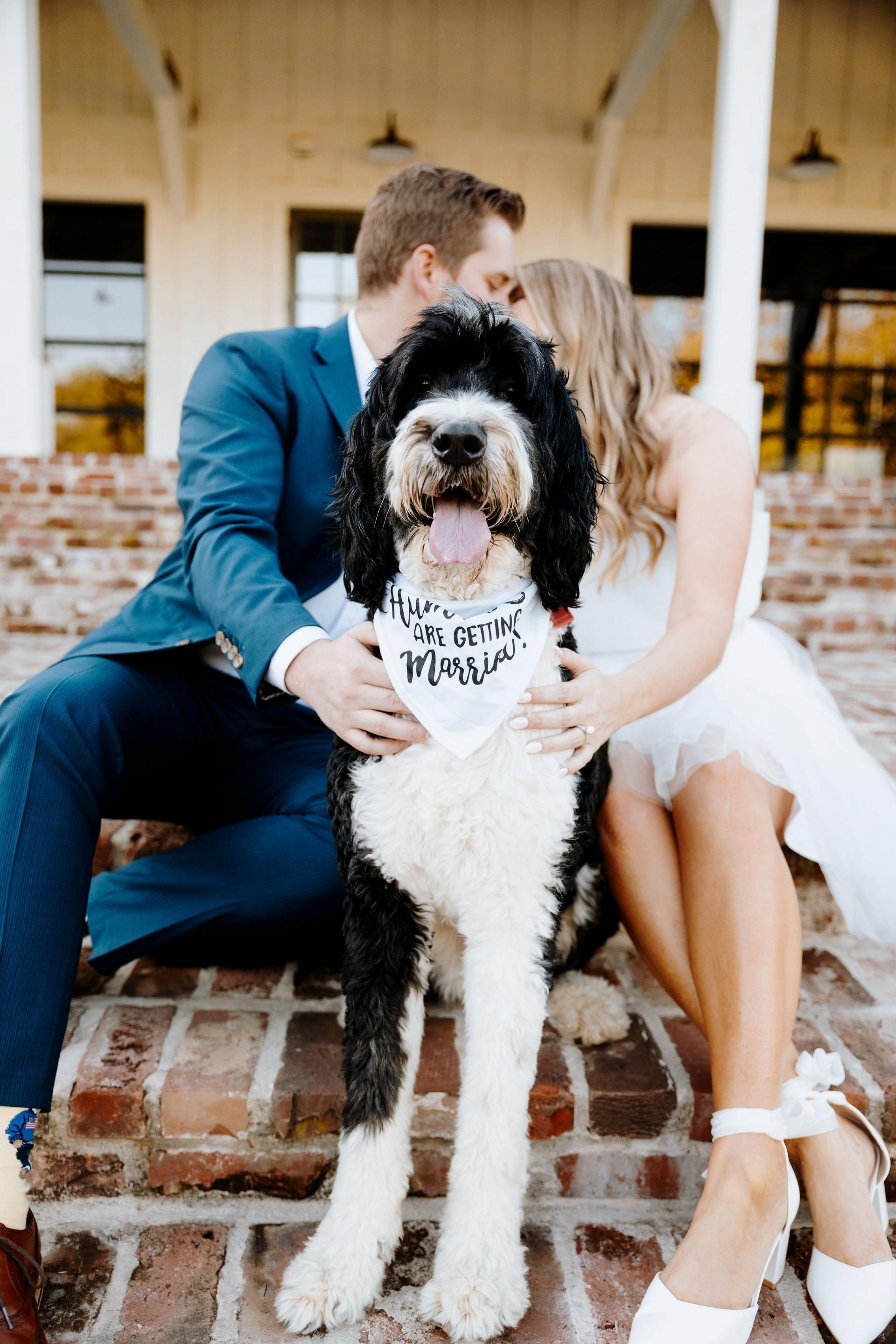 The Wedding Website of Autumn Rhoda and Logan Bailey