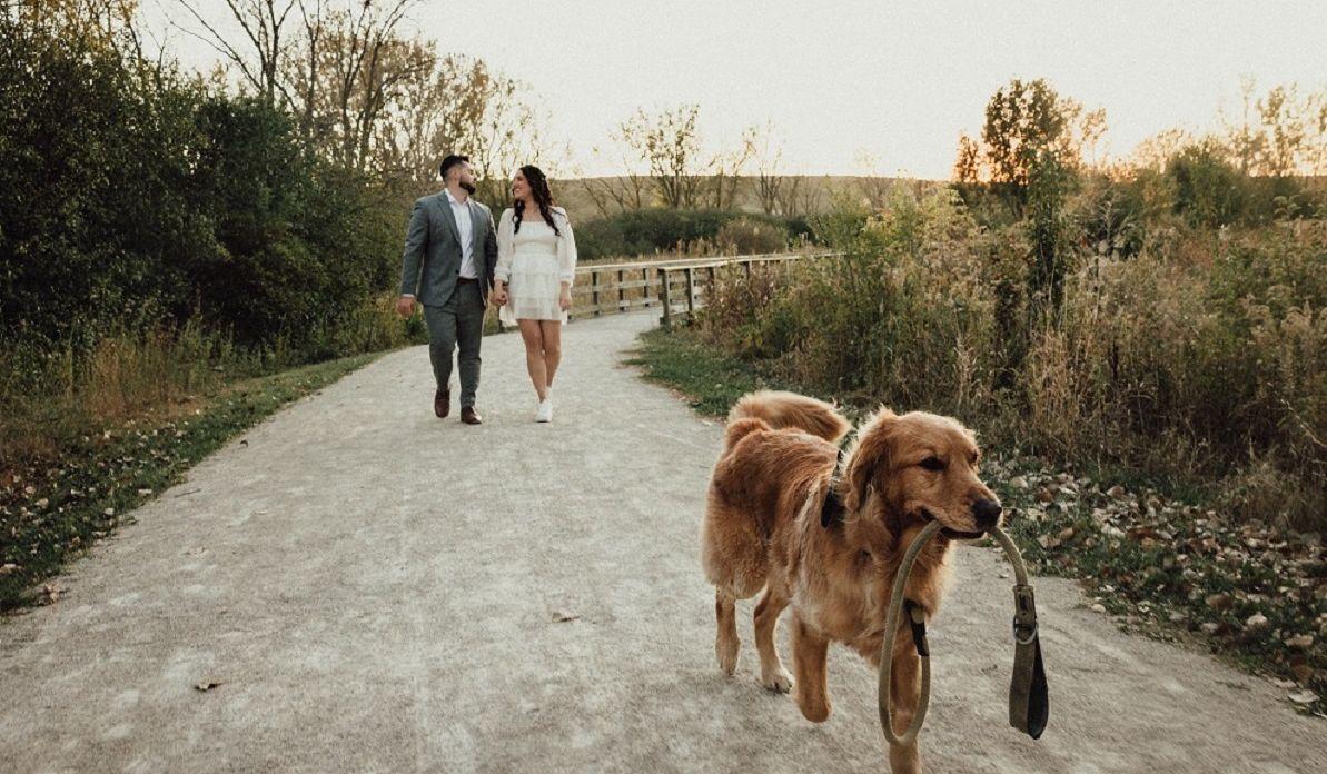 Hero Slideshow Image 3