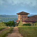 Texas Hill Country Olive Co.