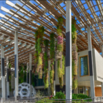 Pérez Art Museum Miami