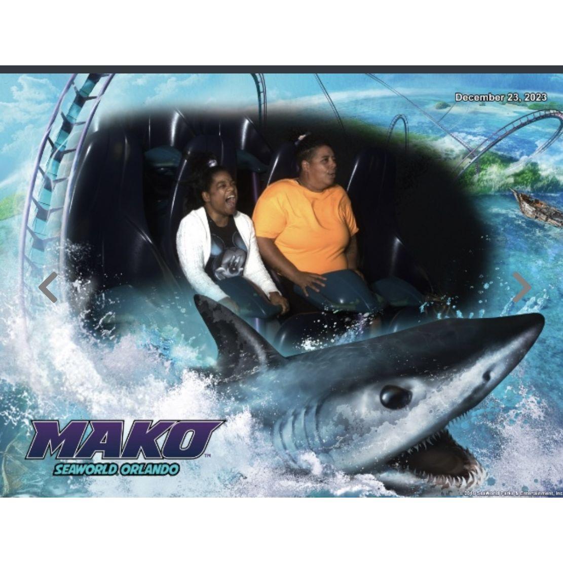 our roller coster Sunday funday