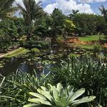 Naples Botanical Garden