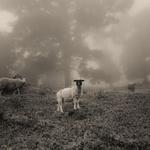 Tours Finca el Oasis