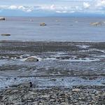 Captain Cook State Recreation Area