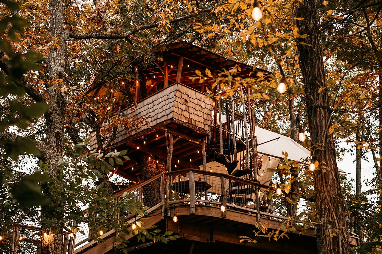 The Wedding Website of Clint Maddox and Adrienne Olson