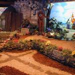 Fountain of Youth Ticket Office