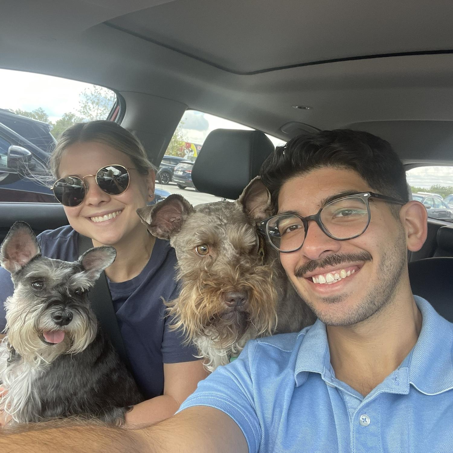 Traveling with our dogs!