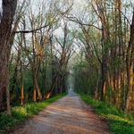 Chesapeake and Ohio Canal