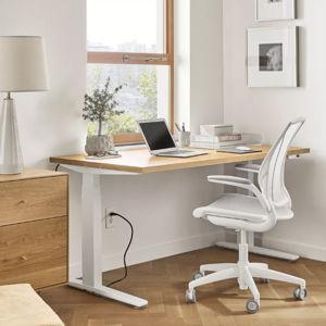 Home Office for Lily (Standing Desk, Monitors, Keyboard, etc.)