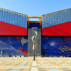 Osaka Aquarium Adventure